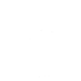 Hard Hat