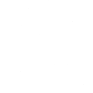 Pin point